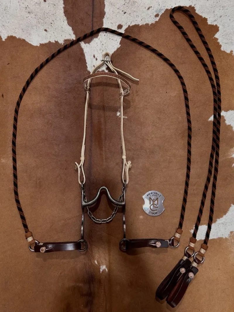 Conjunto Cabeçada, Rédea e Freio para cavalo