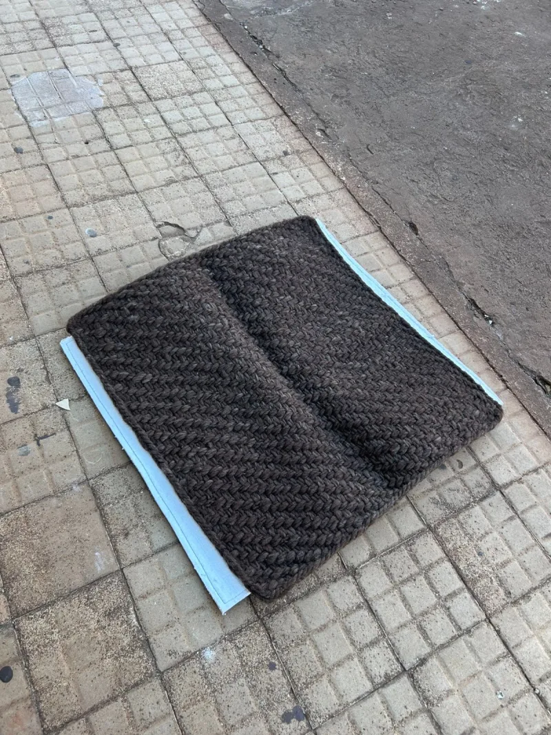 Bacheiro menor que a carona