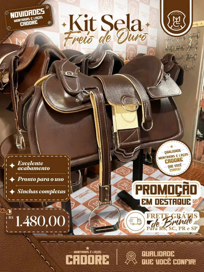 Arte de divulgação do Kit Sela Freio de Ouro, com o preço no Pix e frete grátis para RS, SC, PR e SP