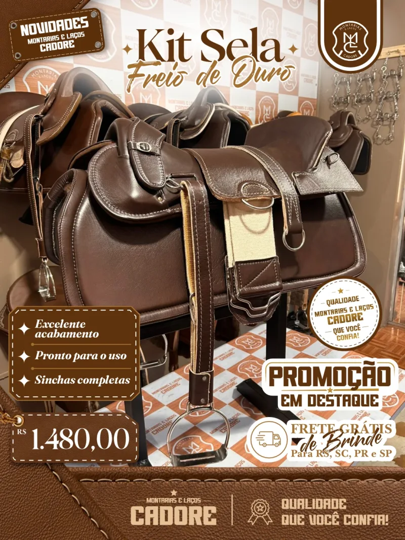 Arte de divulgação do Kit Sela Freio de Ouro, com o preço no Pix e frete grátis para RS, SC, PR e SP