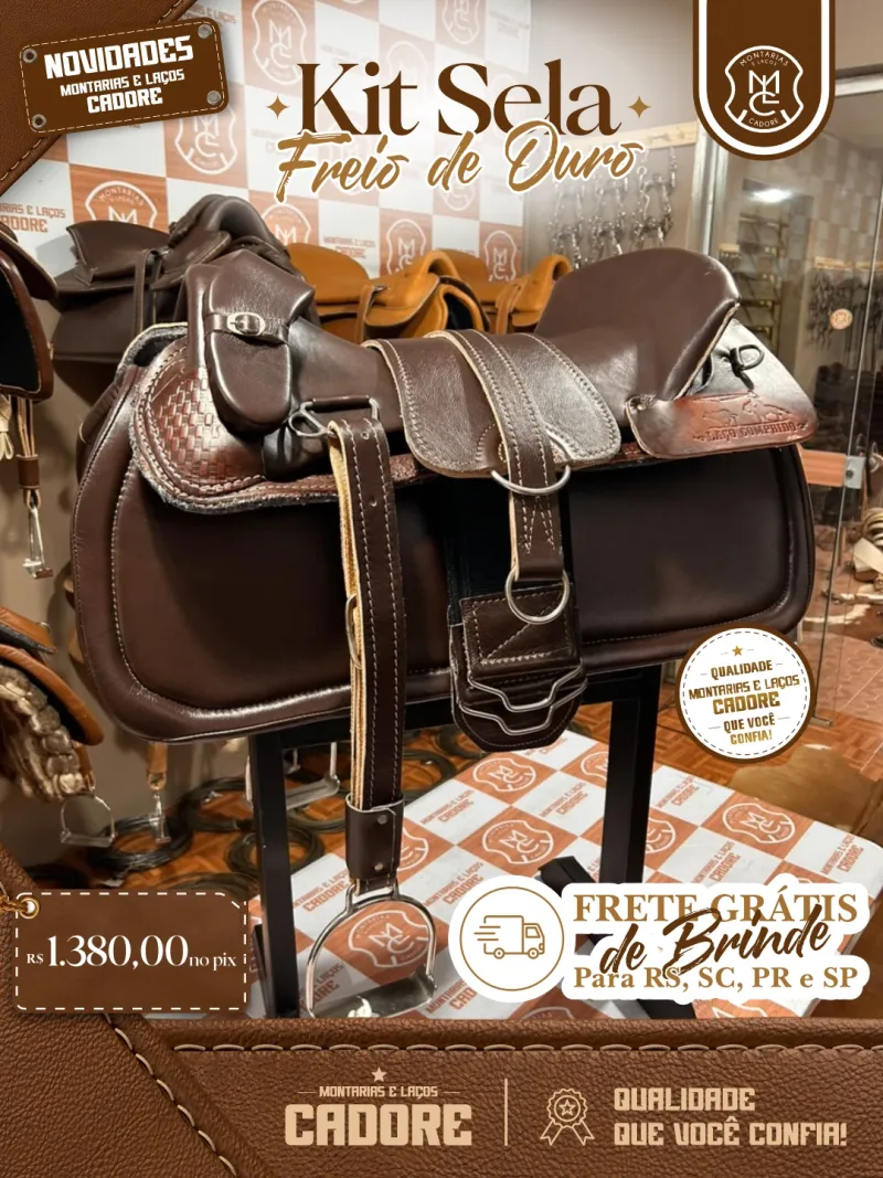 Arte de divulgação do Kit Sela Freio de Ouro, com o preço no Pix e frete grátis para RS, SC, PR e SP