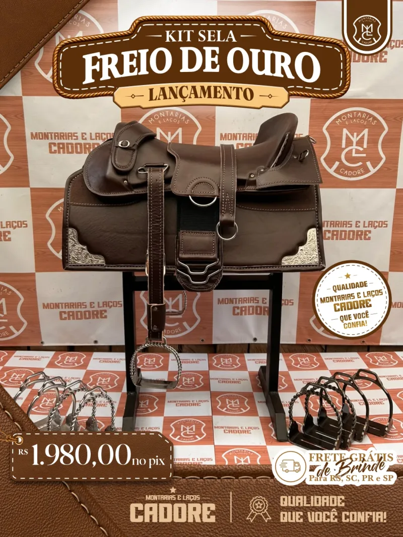 Arte de divulgação do Kit Sela Freio de Ouro, com o preço no Pix e frete grátis para RS, SC, PR e SP