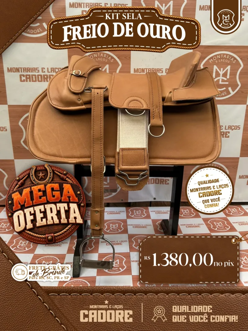 Arte de divulgação do Kit Sela Freio de Ouro, com o preço no Pix e frete grátis para RS, SC, PR e SP