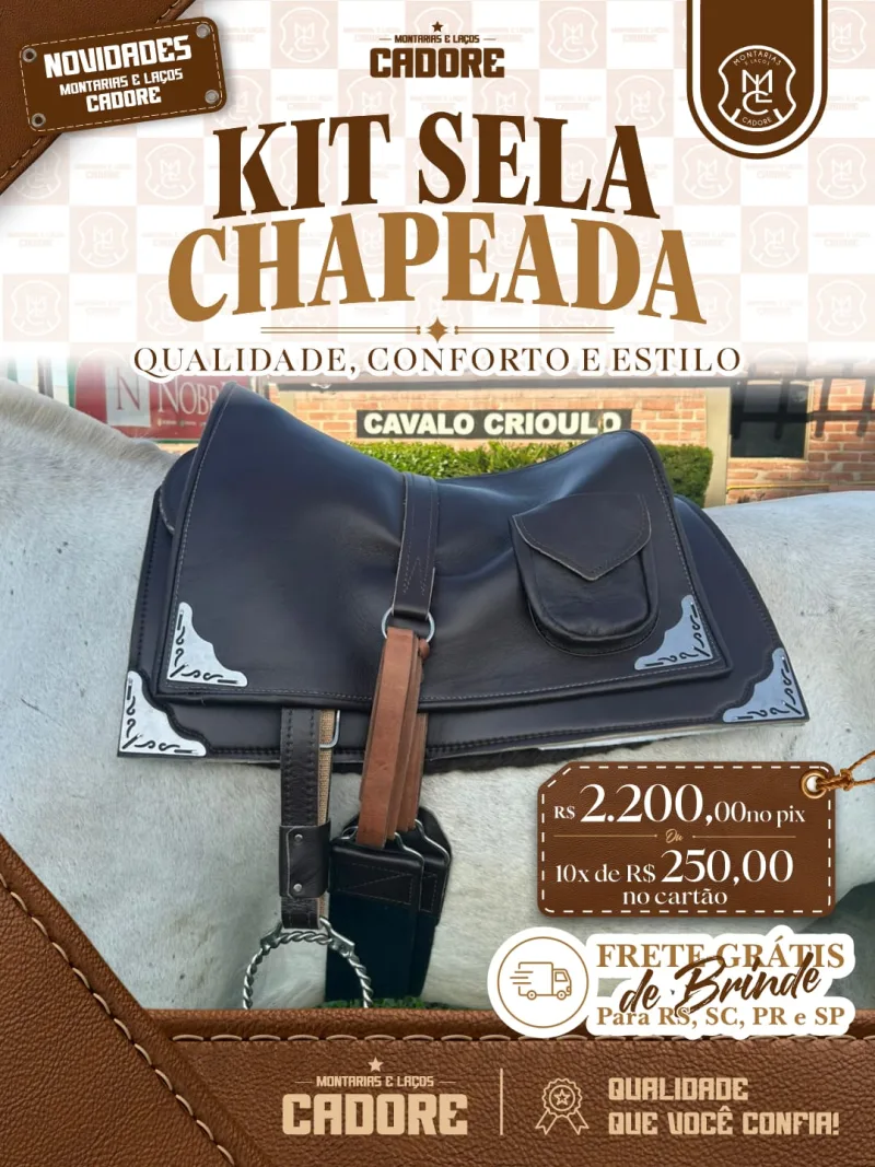 Kit Sela Freio de Ouro com Carona e Badana