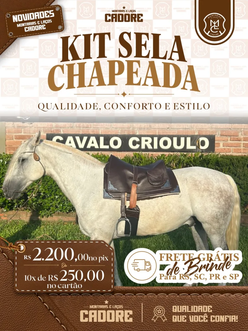 Kit Sela Freio de Ouro com Carona e Badana