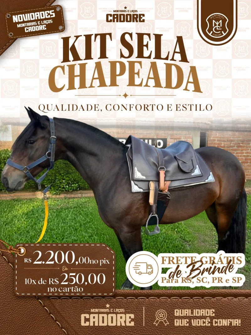 Kit Sela Freio de Ouro com Carona e Badana