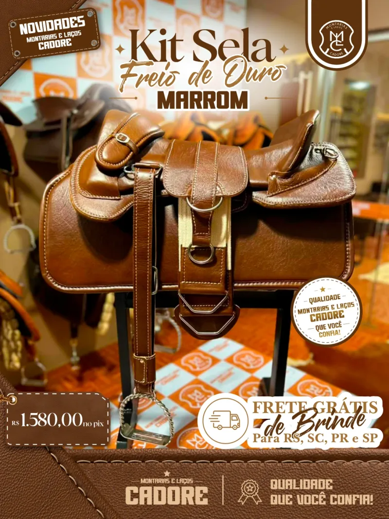 Arte de divulgação do Kit Sela Freio de Ouro Marrom, com o preço no Pix e frete grátis para RS, SC, PR e SP