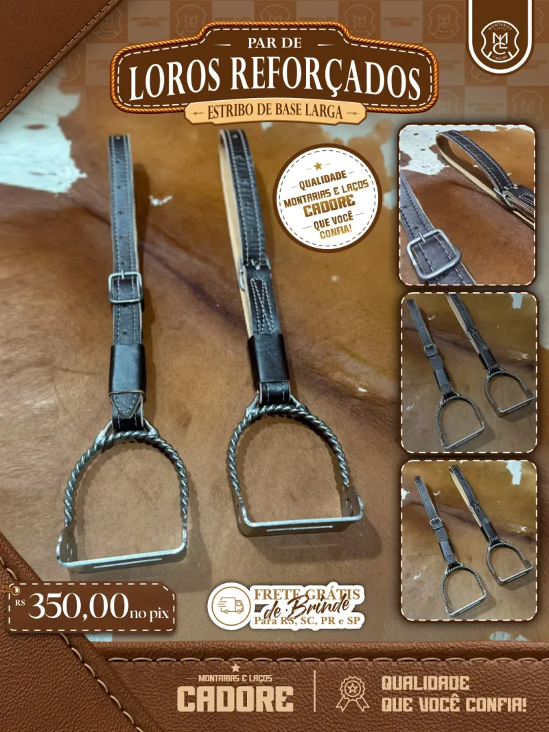 Par de Estribo Inox + Par de Loros reforçados revestidos com fita de nylon