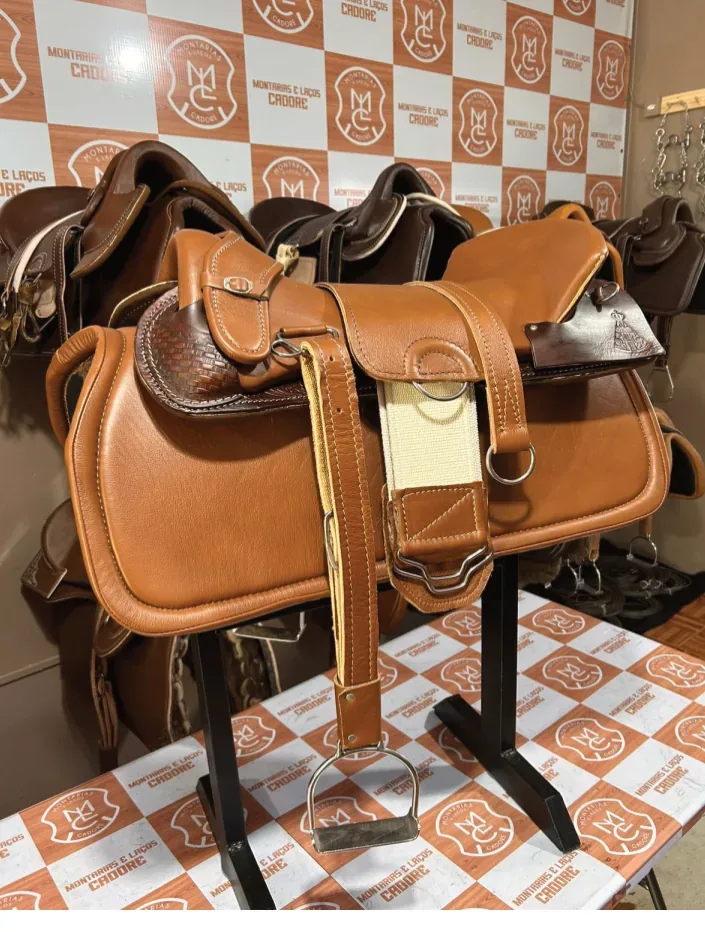Kit Sela Freio de Ouro Edição Nossa Senhora Aparecida para cavalo