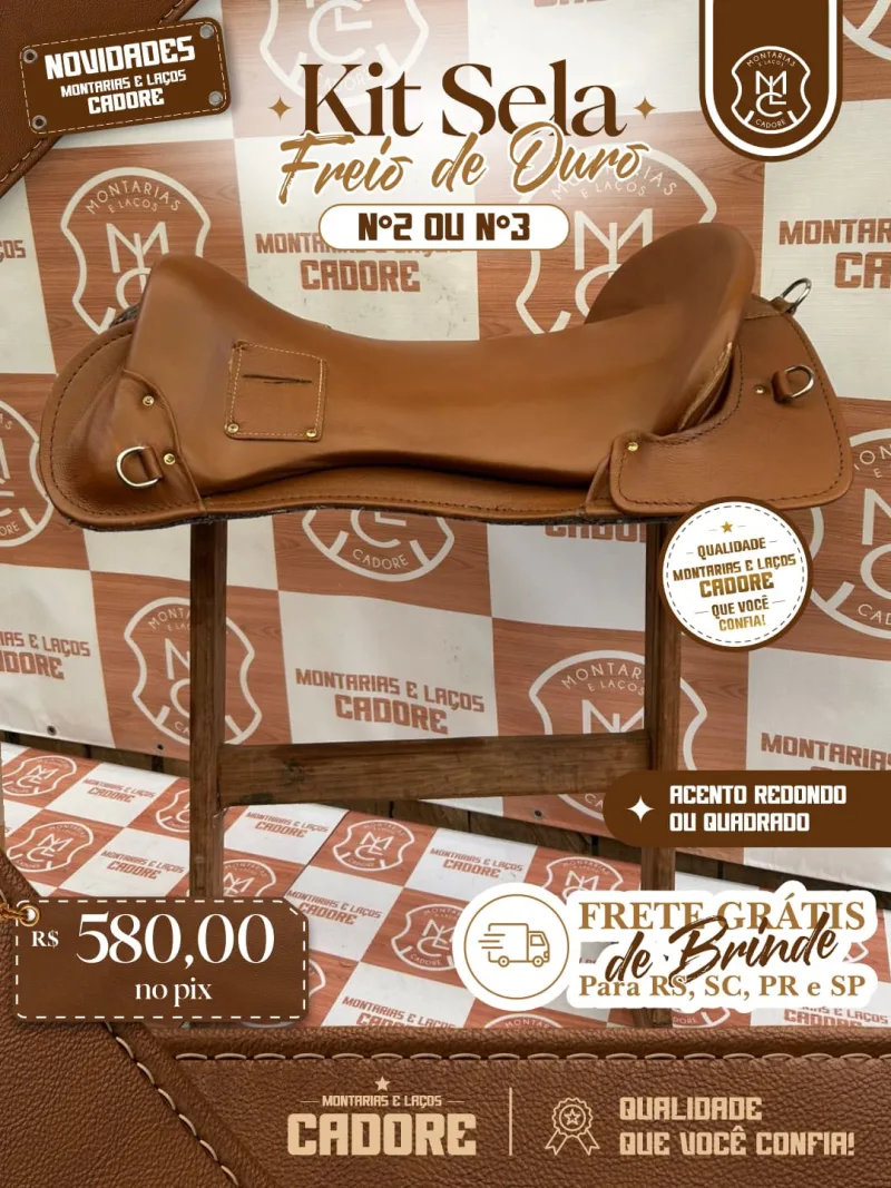 Sela Freio de Ouro Nº2 ou Nº3