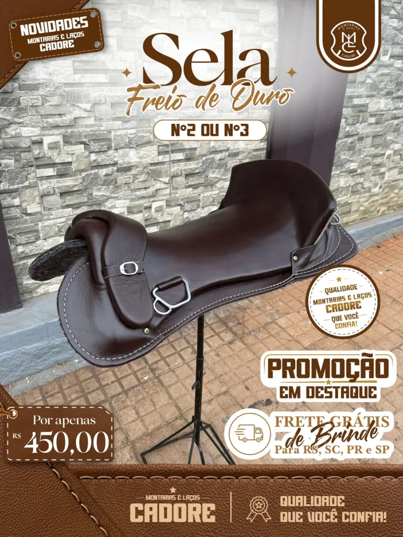 Sela Freio de Ouro Nº2 ou Nº3