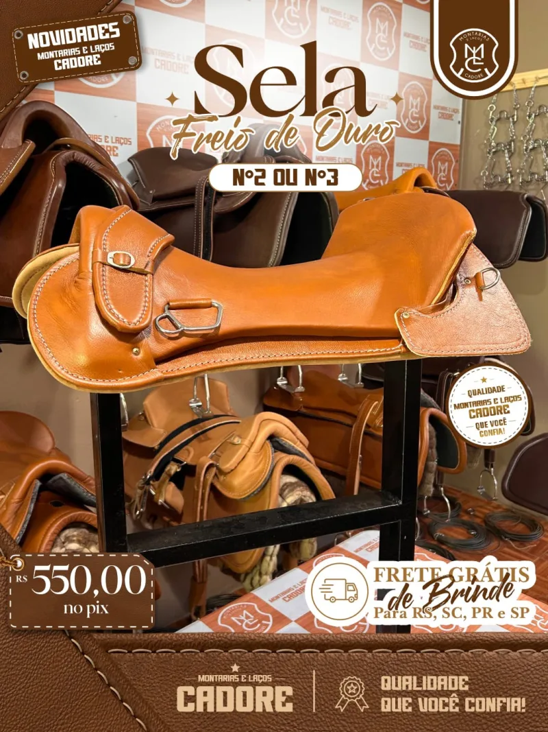 Sela Freio de Ouro Nº2 ou Nº3