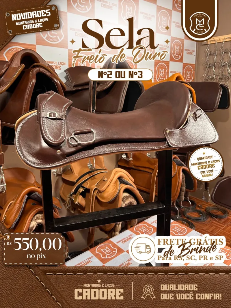 Sela Freio de Ouro Nº2 ou Nº3