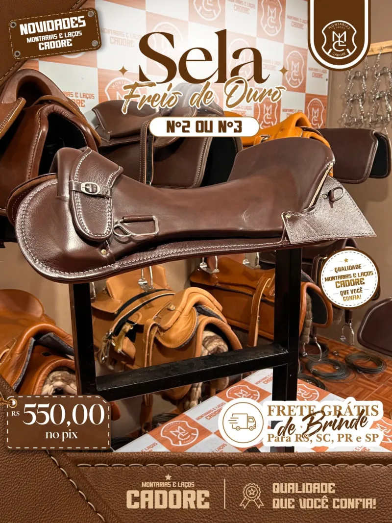 Sela Freio de Ouro Nº2 ou Nº3