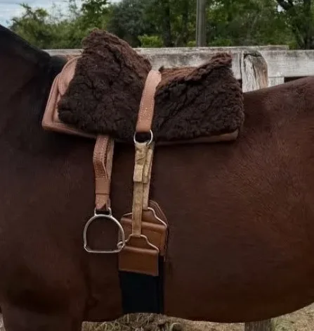 Kit Sela Freio de Ouro Modelo Infantil no cavalo, visto de perto