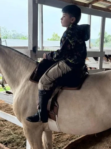 Kit Sela Freio de Ouro Modelo Infantil no cavalo, visto de perto