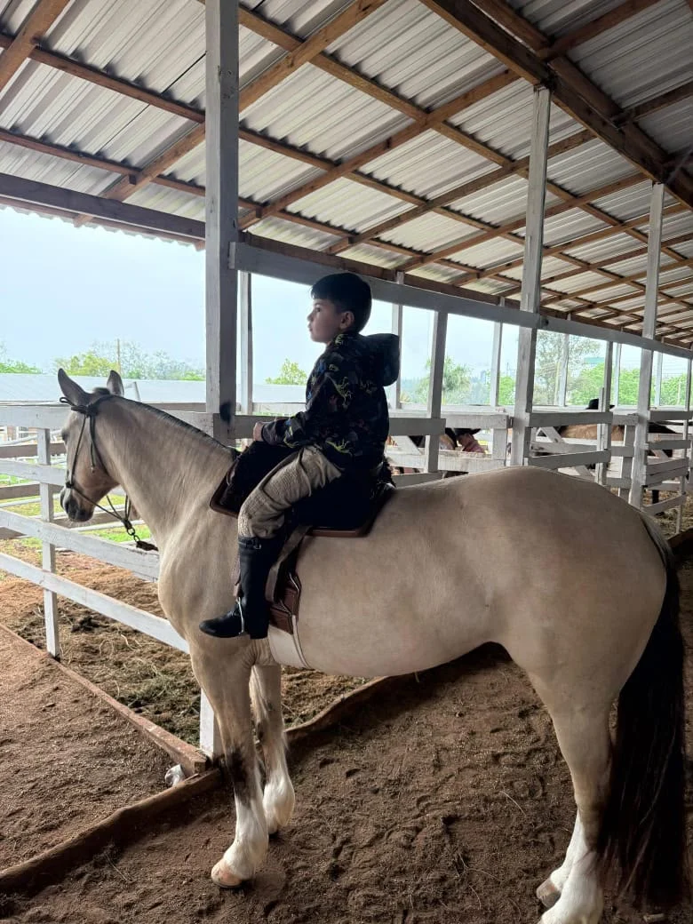 Kit Sela Freio de Ouro Modelo Infantil no cavalo