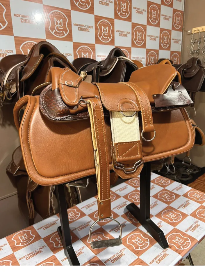 Kit Sela Freio de Ouro Edição Nossa Senhora Aparecida para cavalo