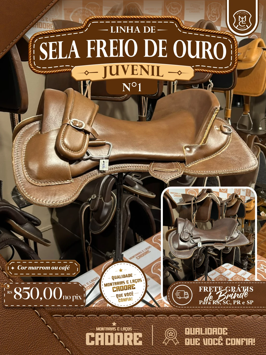 Arte de divulgação da Linha de Sela Freio de Ouro Juvenil nº1, com o preço no Pix e frete grátis para RS, SC, PR e SP